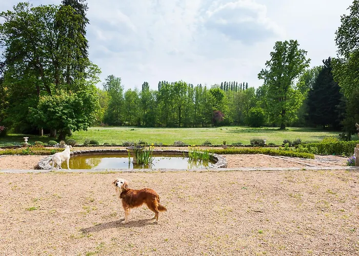 Domaine de Planchoury