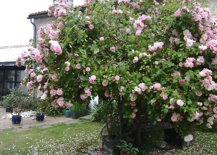La Rosaliere